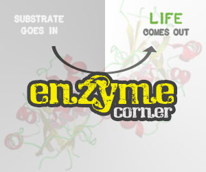 Enzyme corner