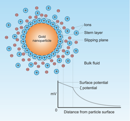 Gold nanoparticle in suspension