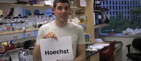 How do you say Hoechst