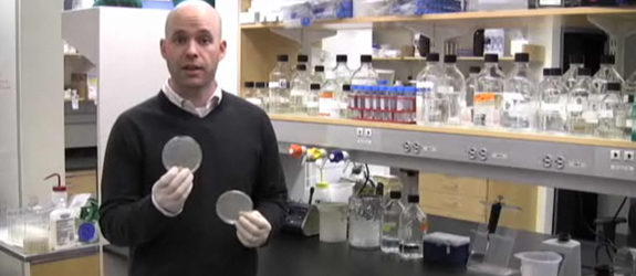 WATCH VIDEO How to perform colony PCR