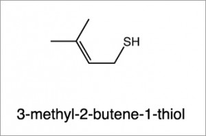 3-methyl-2-butene-1-thiol