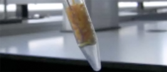 Extraction of Limonene using Carbon Dioxide