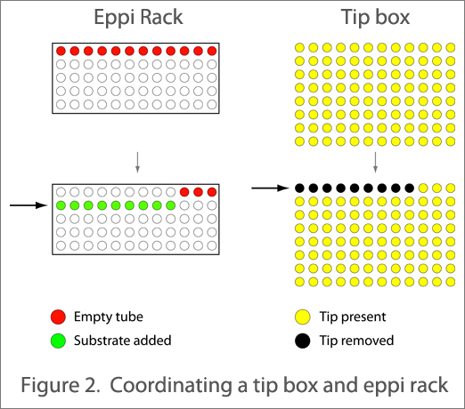 Eppi rackcropped2