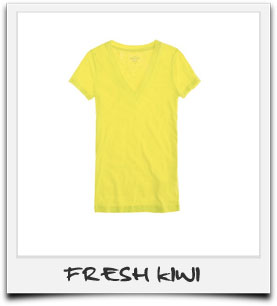 J.Crew V-neck Tees